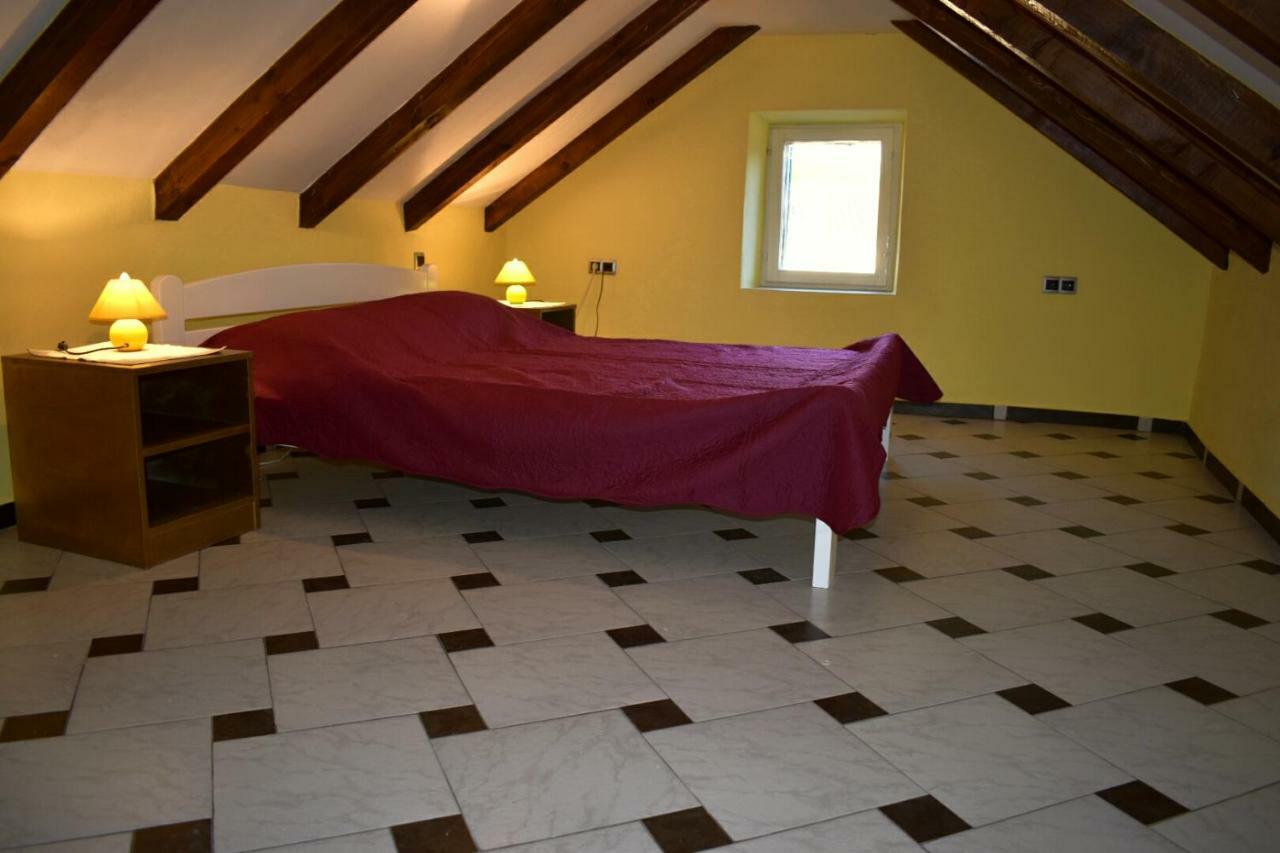 Apartments Carpe Diem Novigrad  ภายนอก รูปภาพ