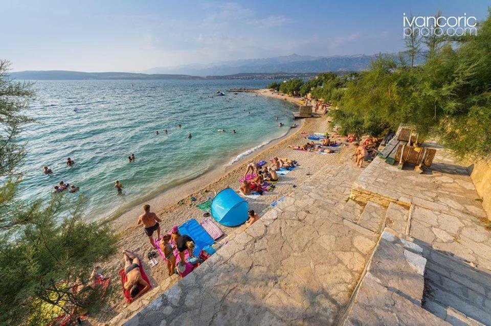 Apartments Carpe Diem Novigrad  ภายนอก รูปภาพ